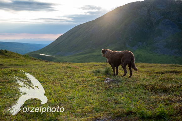 Arctic VW Up Over Hatcher Pass 2023-4337